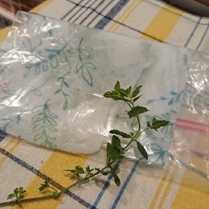 ミントの葉の冷蔵保存方法 レシピ 作り方 By ぼくバナナ 楽天レシピ ミントの葉の冷蔵保存方法 レシピ 作り方 By ぼくバナナ 楽天レシピ